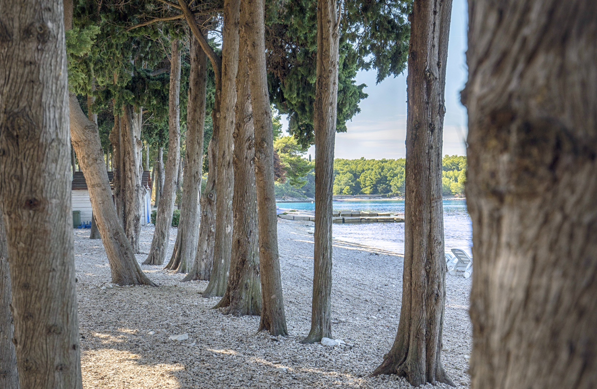 Aminess Vival Casa Velaris 26