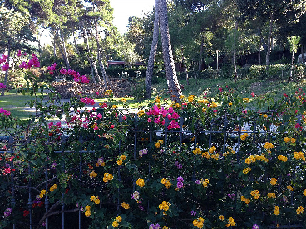 Internazionale San Menaio Camping Village HC 10