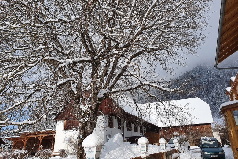 Hotel Pension Lindbichler  se skipasem