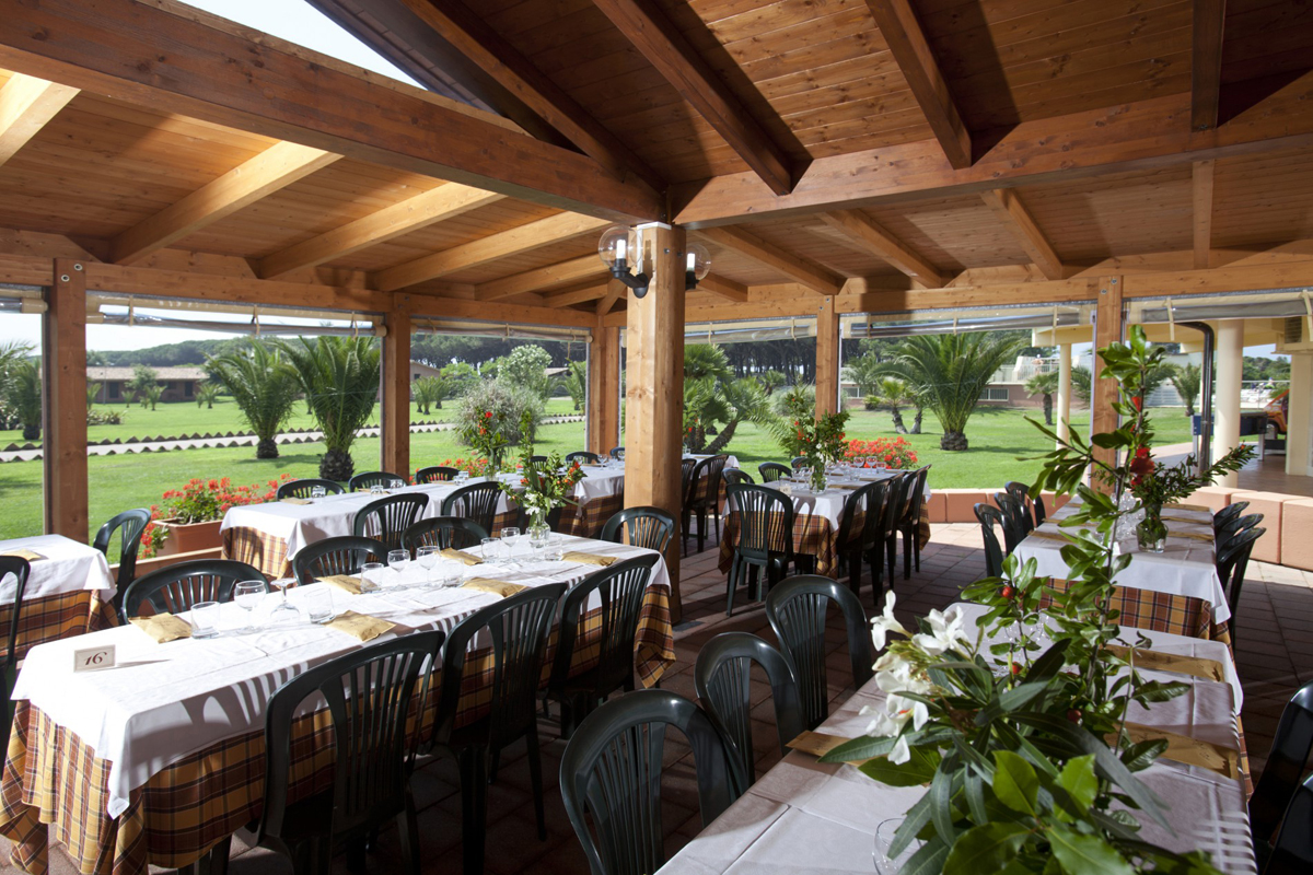 California Gitavillage HC 5