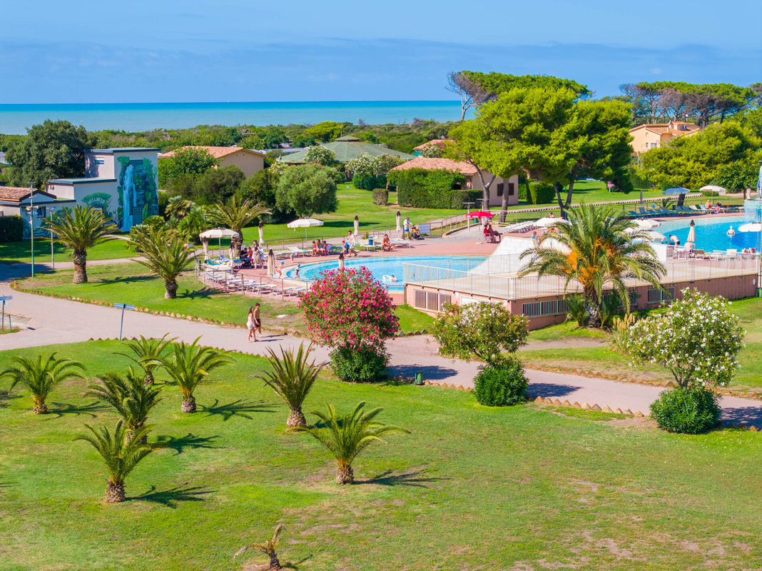 California Gitavillage HC 11