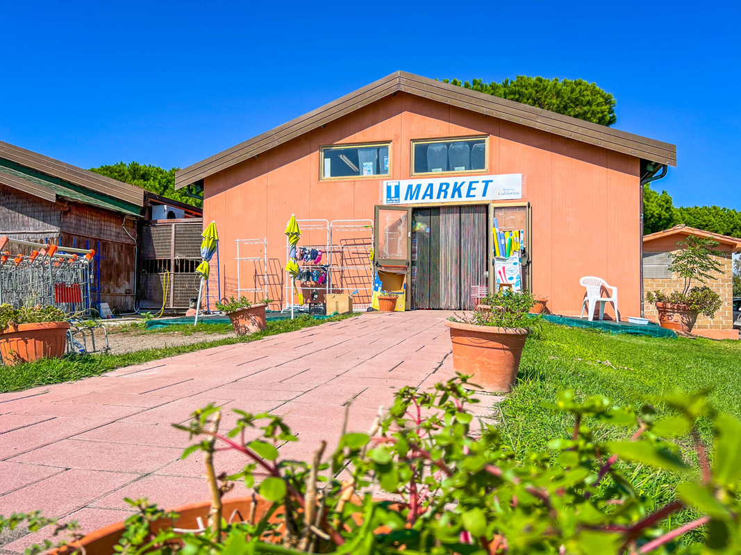 California Gitavillage HC 13