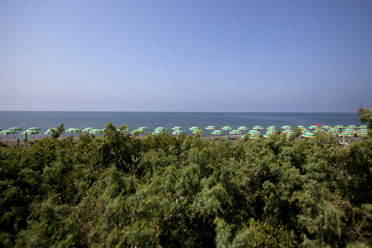 California Gitavillage HC 19