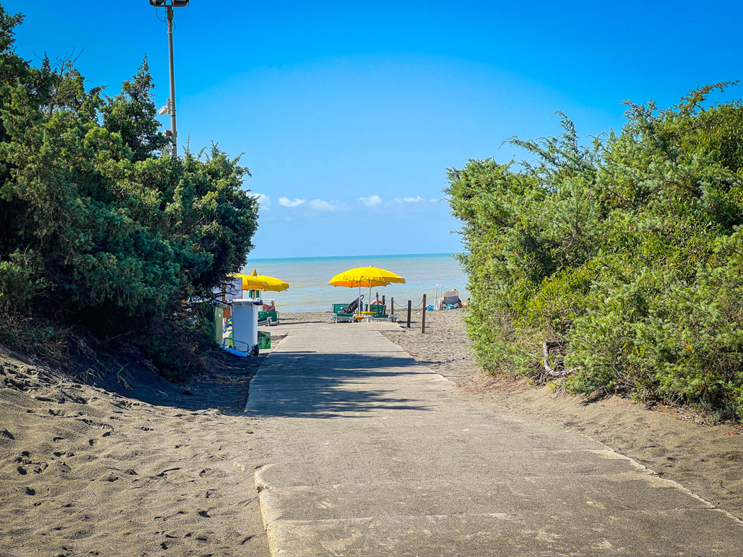 California Gitavillage HC 21