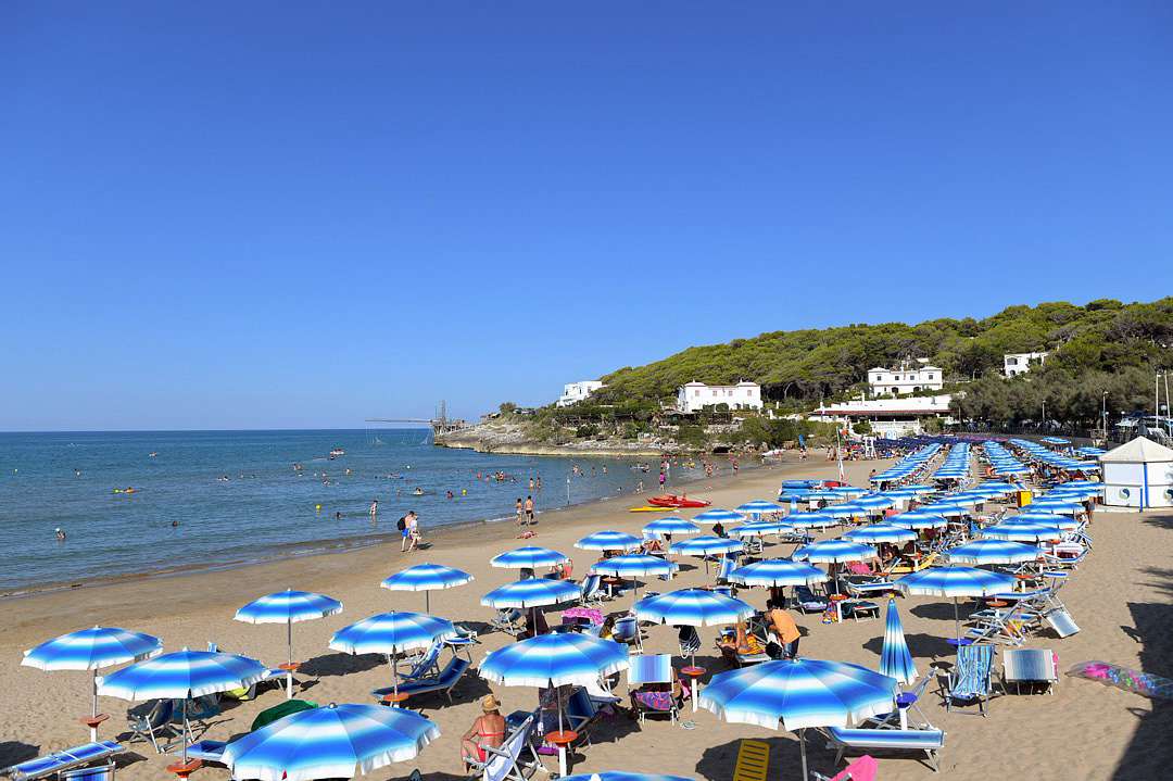 Bungalhotel Internazionale Manacore 5