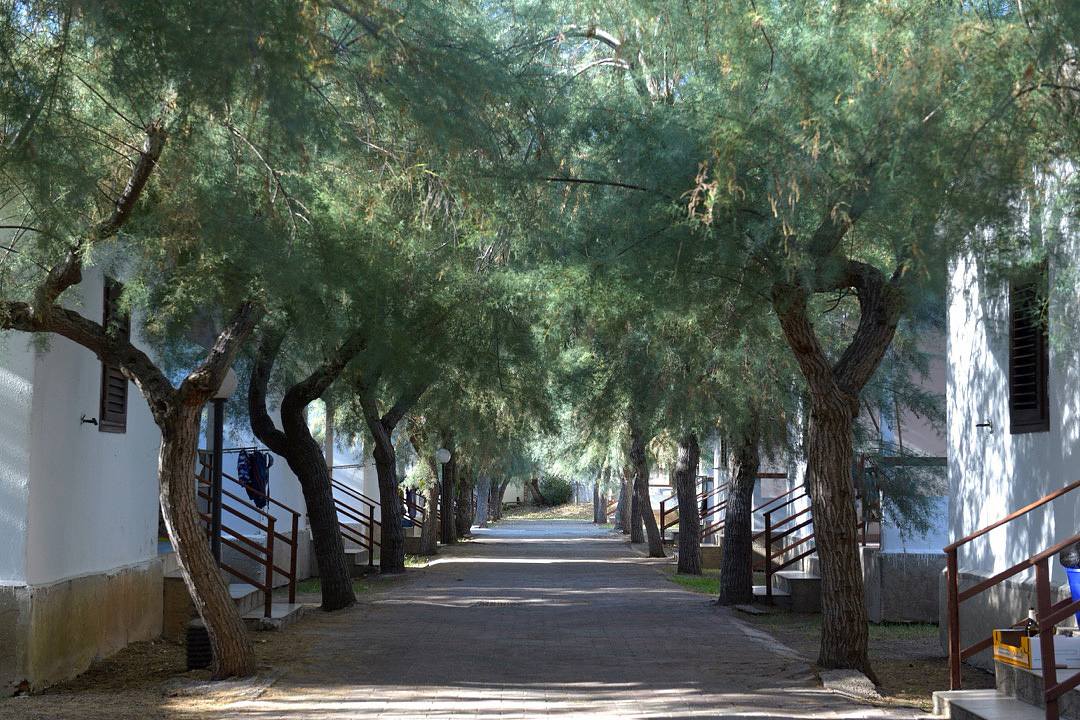 Bungalhotel Internazionale Manacore 6