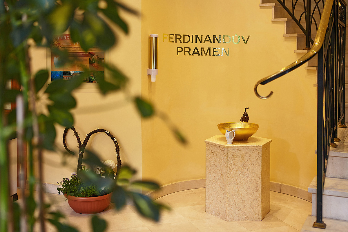 Ensana Spa Hotel Butterfly 17