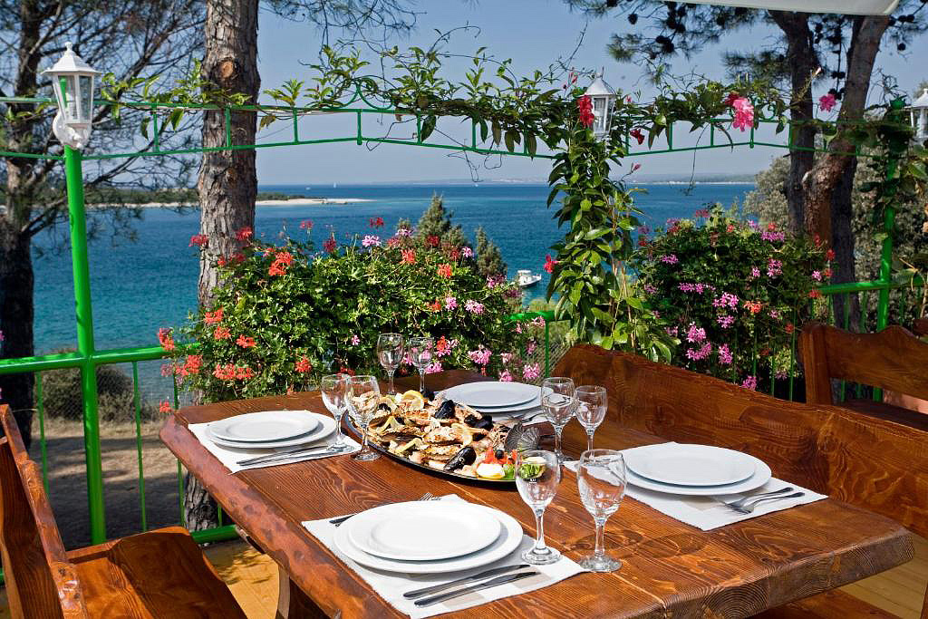 Brioni Sunny Camping HC 5