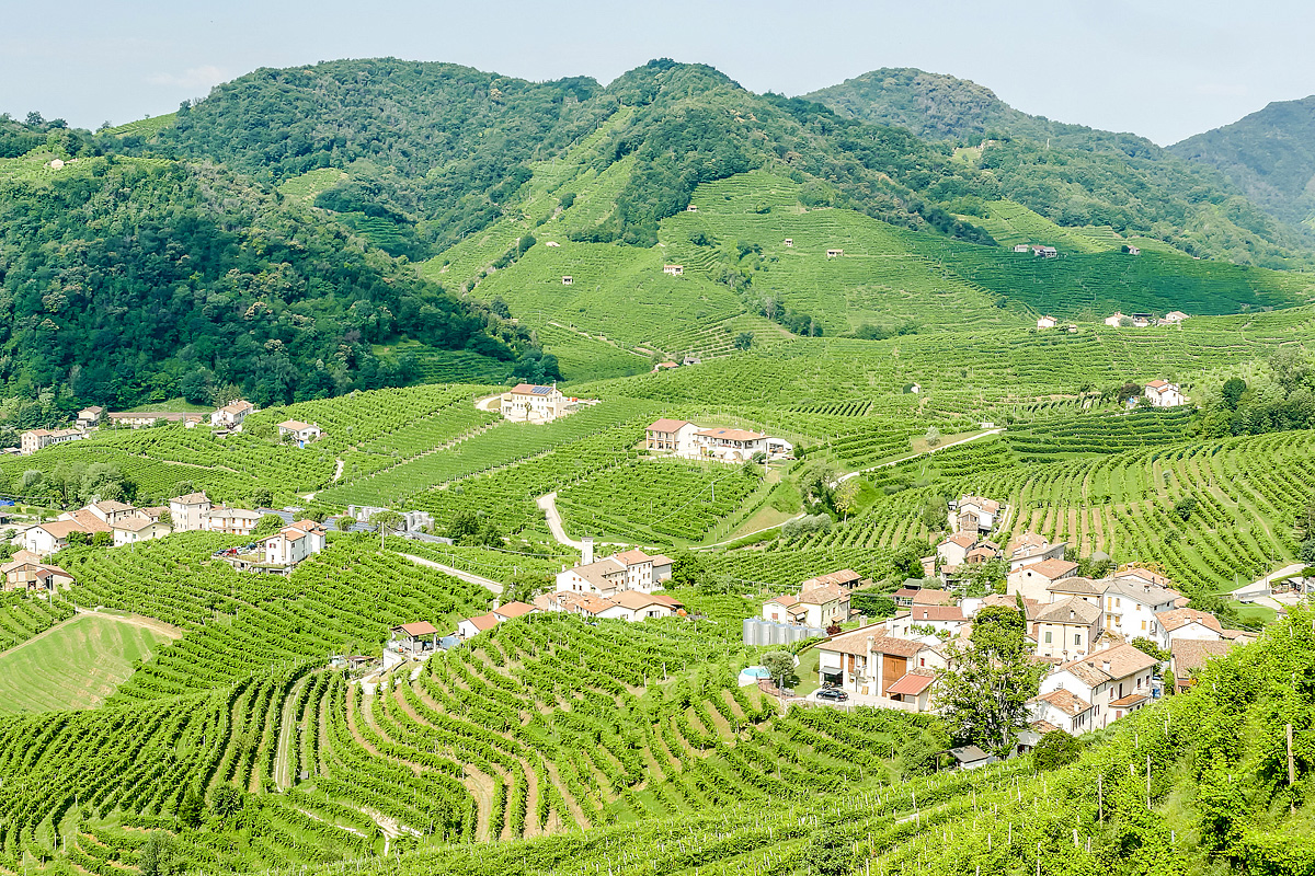 Bike Safari - Vinicemi Prosecca 3