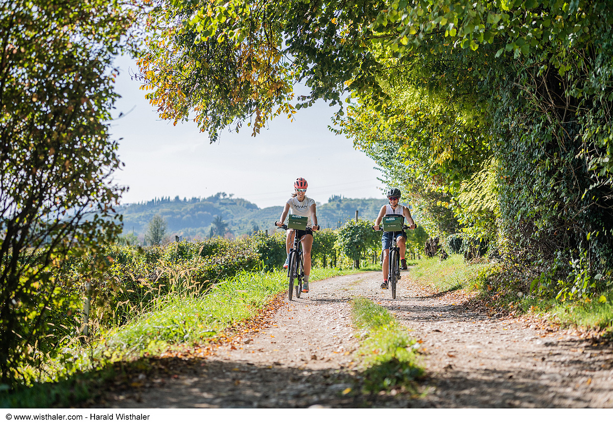 Bike Safari - Vinicemi Prosecca 5