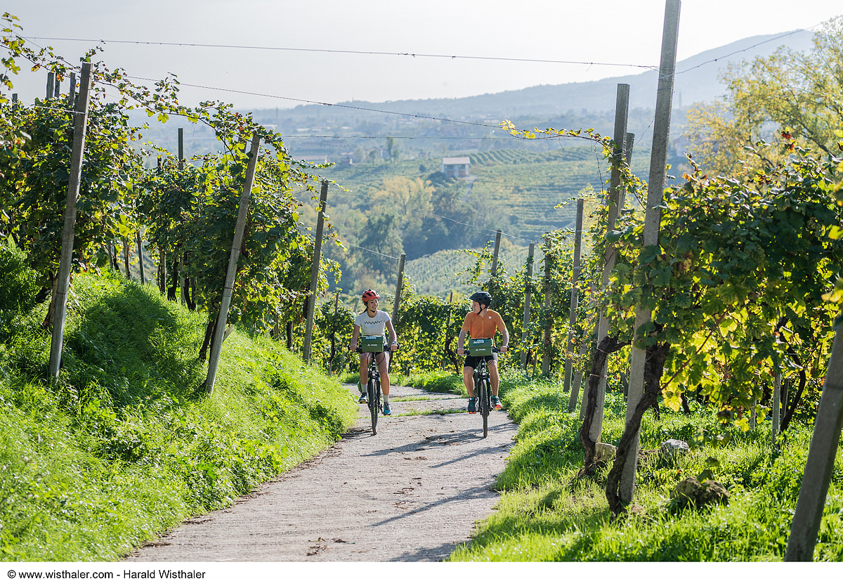 Bike Safari - Vinicemi Prosecca 6