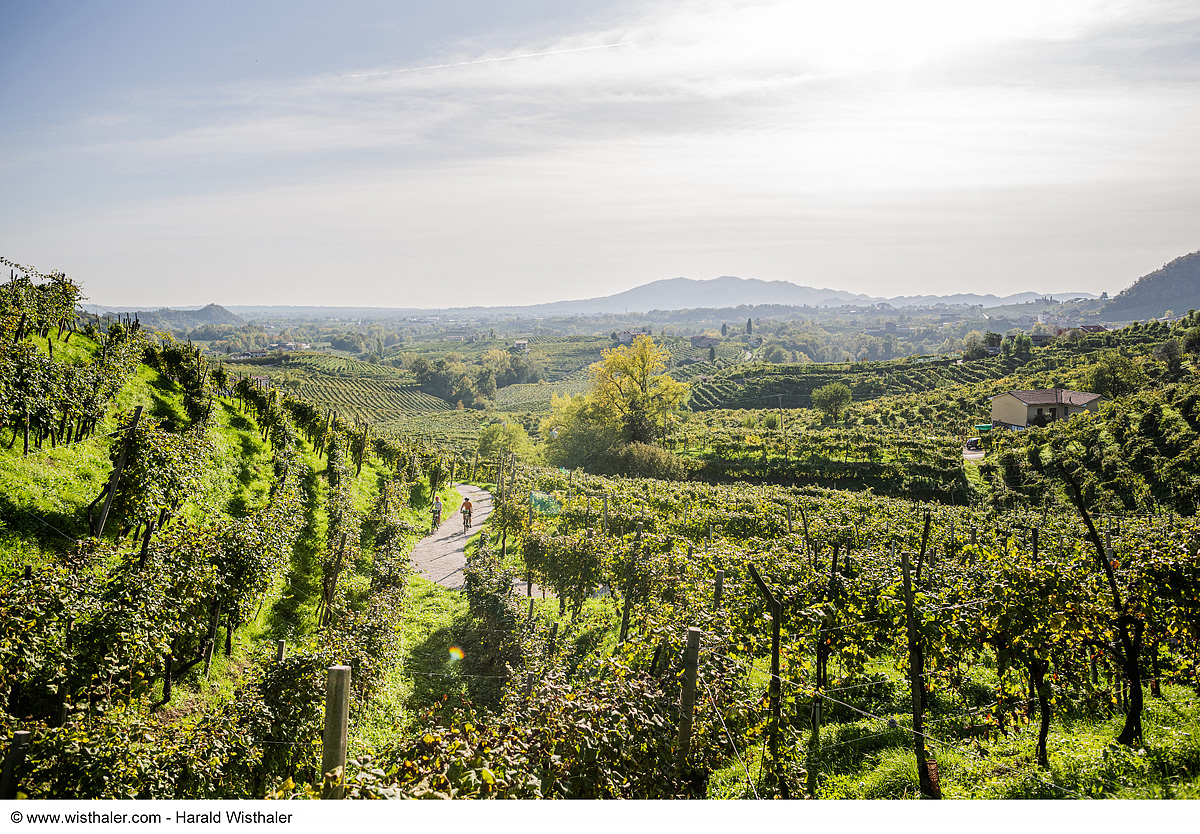 Bike Safari - Vinicemi Prosecca 10