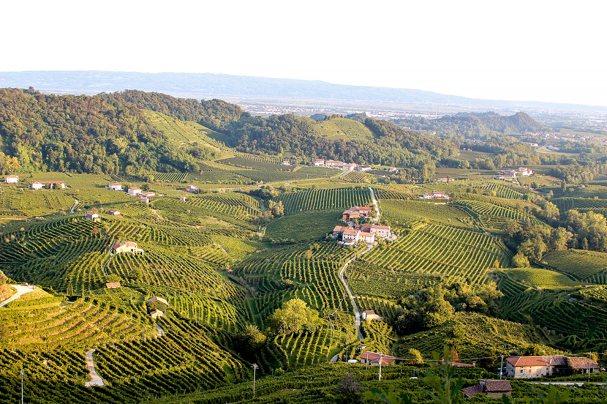 Bike Safari - Vinicemi Prosecca 16