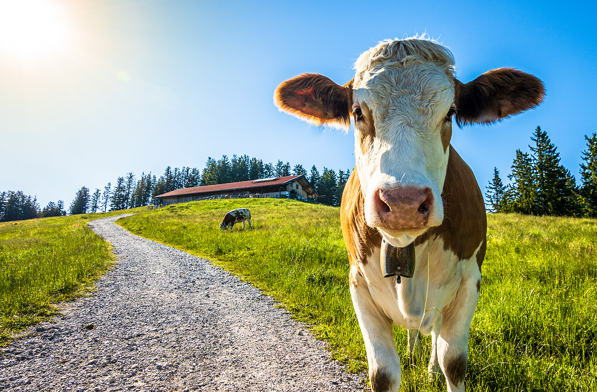 Bike Safari Mnichov - Benátky 22