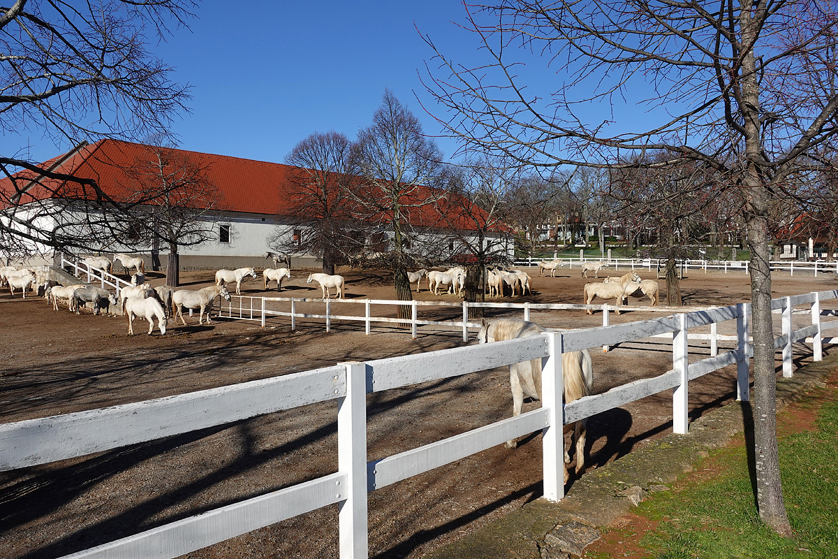 Bike Safari - Alpe Adria Villach - Lublan - Terst 35