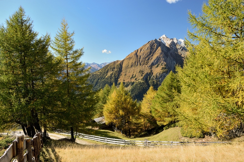 Hotel TREK SAFARI KITZBÜHEL - TRE CIME 