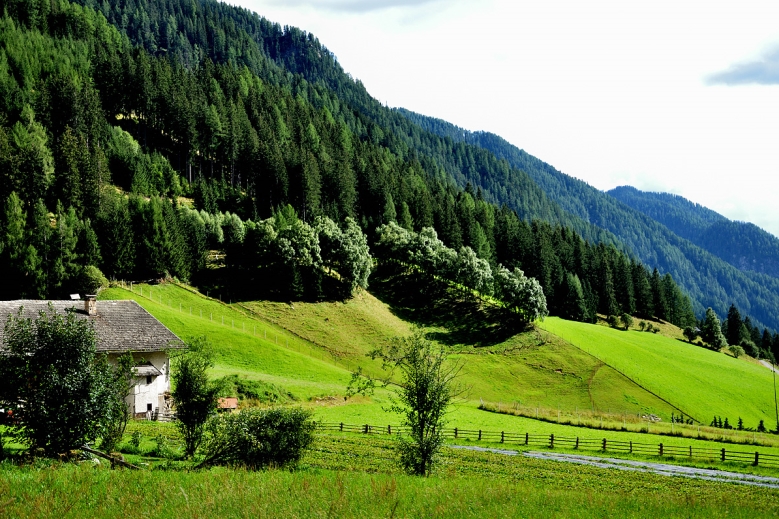 Hotel TREK SAFARI KITZBÜHEL - TRE CIME 