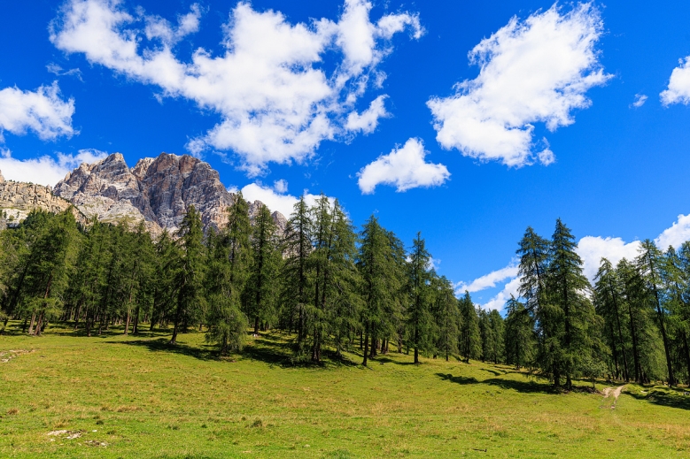 Hotel TREK SAFARI PŘÍRODNÍ PARKY DOLOMIT