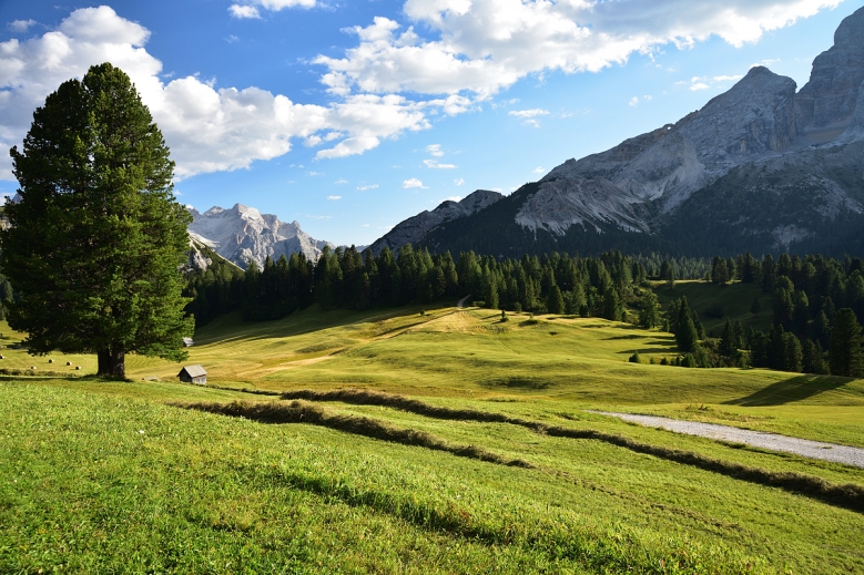 Hotel TREK SAFARI PŘÍRODNÍ PARKY DOLOMIT