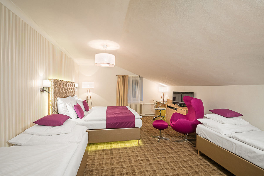 Pytloun Wellness Hotel Harrachov 10