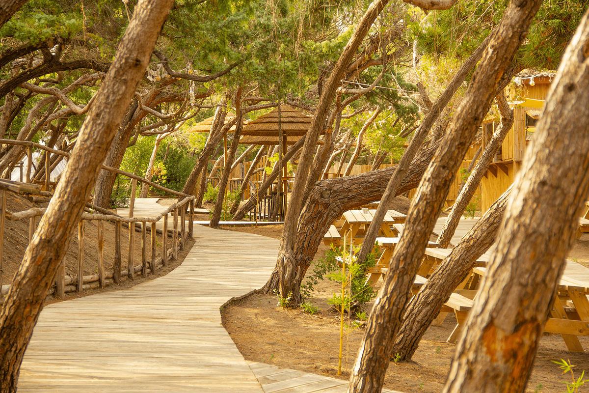 Hotel CSA Holiday House 6