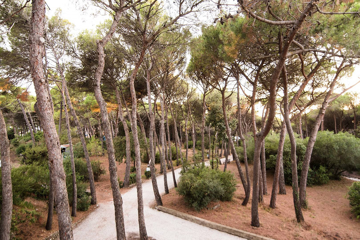 Hotel CSA Holiday House 7