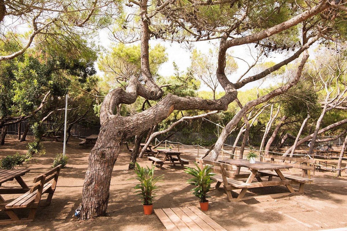 Hotel CSA Holiday House 8