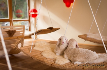 Arosea Life Balance Hotel *****