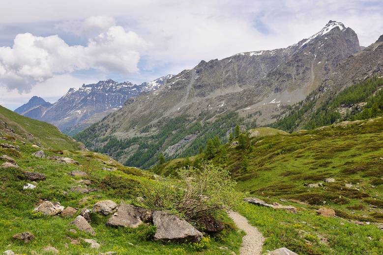 Hotel Trek Safari Gran Paradiso Tour I