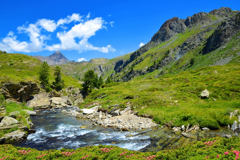 Hotel Trek Safari Gran Paradiso Tour I