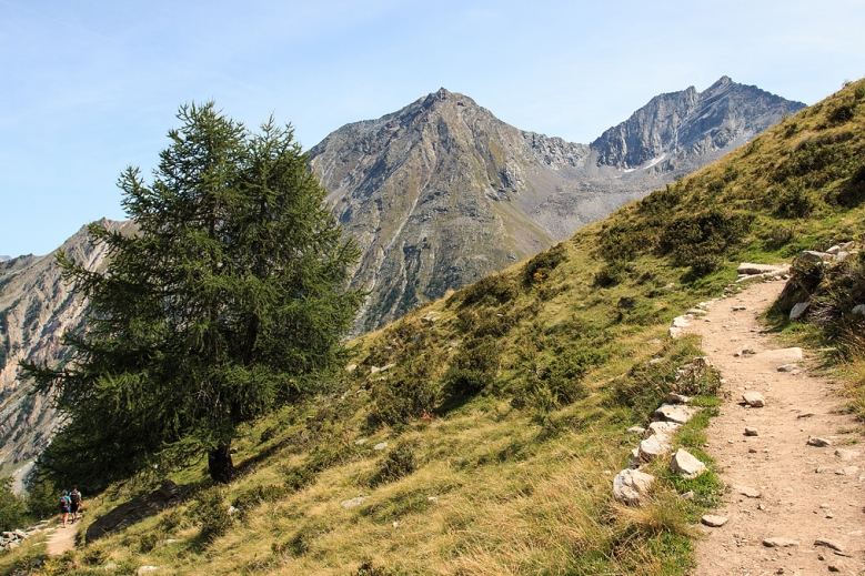 Hotel Trek Safari Gran Paradiso Tour I