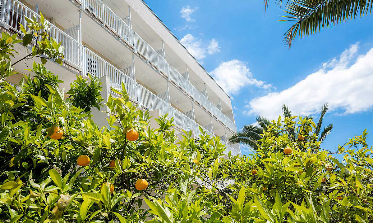 Orsan Maradiso Hotel by Aminess 8