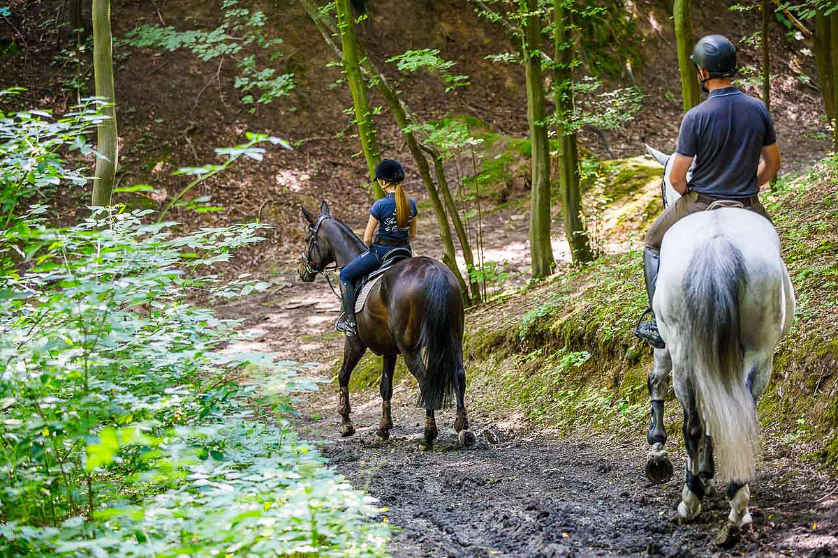 Hotel Szary Residence  se snídaní 59