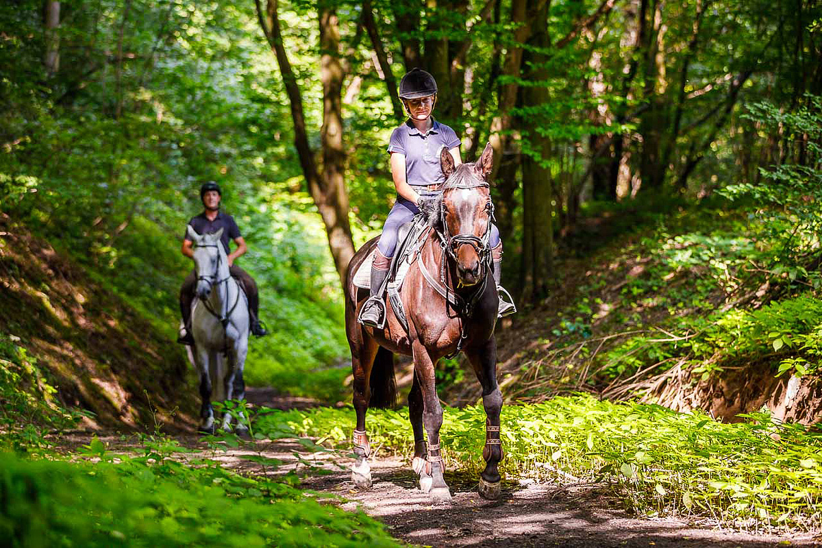 Hotel Szary Residence  se snídaní 61