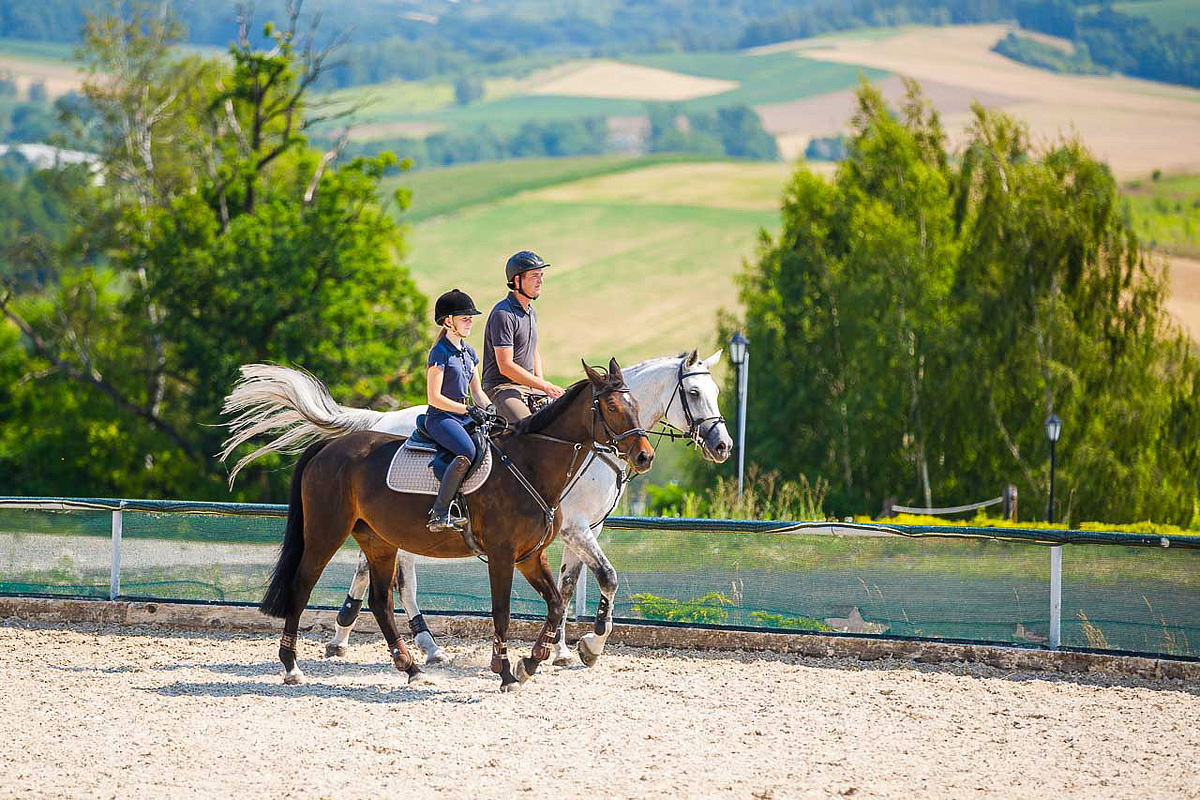 Hotel Szary Residence  se snídaní 62