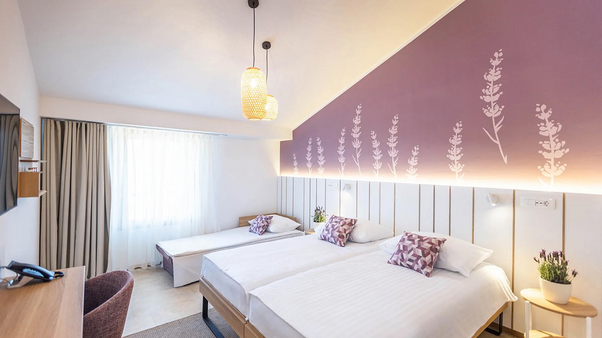 Hotel Vile Park Premium 8