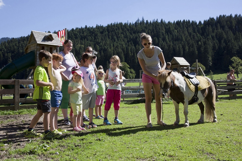 Hotel Hotel Berghof 