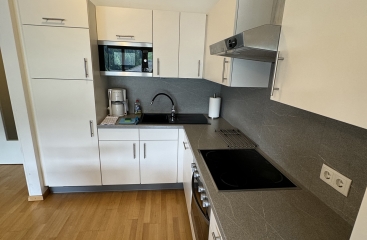 Apartmnov dm LUX **** se skipasem