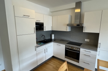 Apartmnov dm LUX **** se skipasem