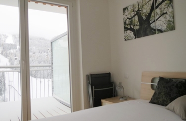 Apartmnov dm LUX **** se skipasem