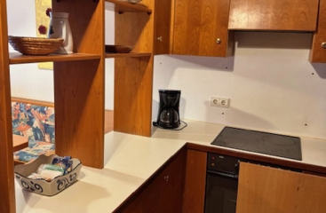 Apartmnov dm Carinthia Sonnleitn *** se skipasem