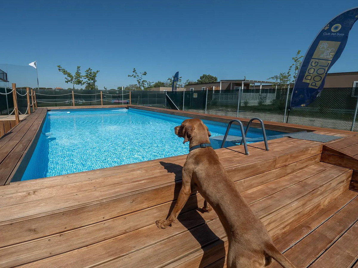 Sentido Riccione Premium Camp 7