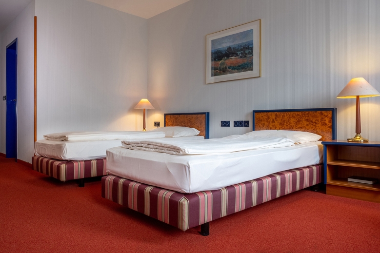 Hotel Hotel Falkenstein 