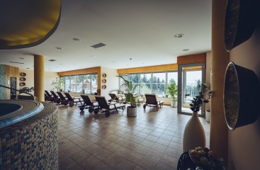 Wellness & Spa Hotel Bolfenk ****