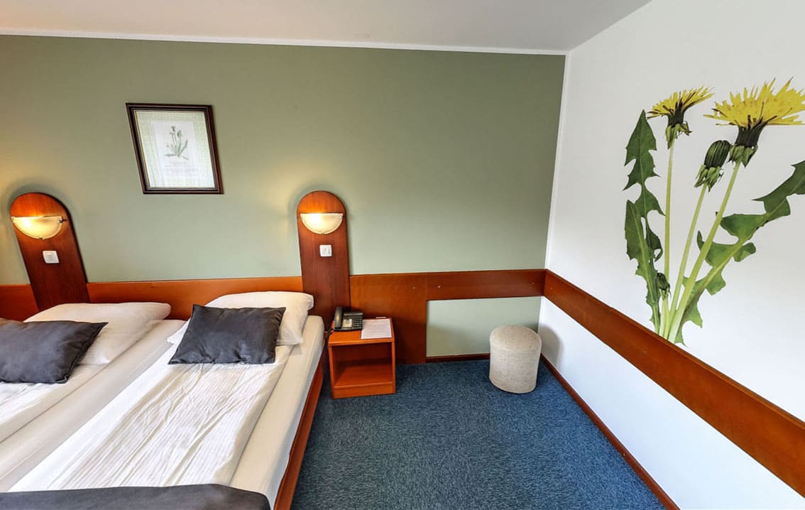 Hotel Tripič Bohinj 13