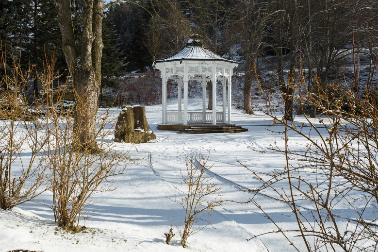 Hotel Hotel Astoria balíček se skipasem