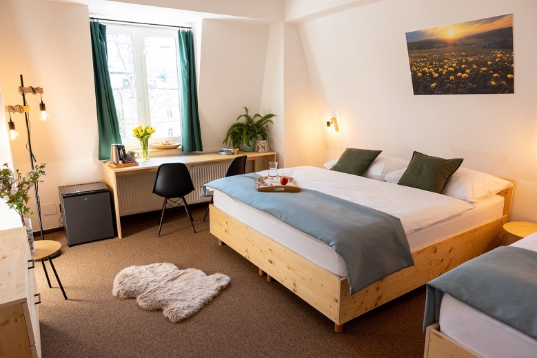 Hotel Hotel Rehavital