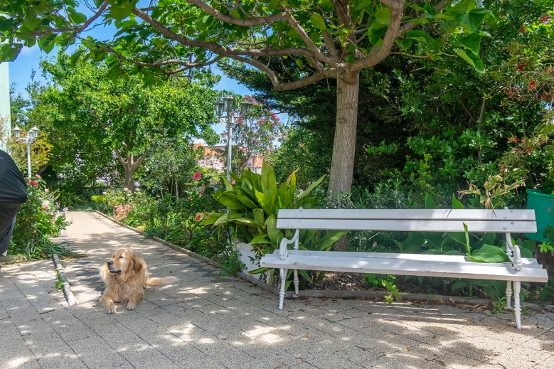 Hotel Apartmány Darko