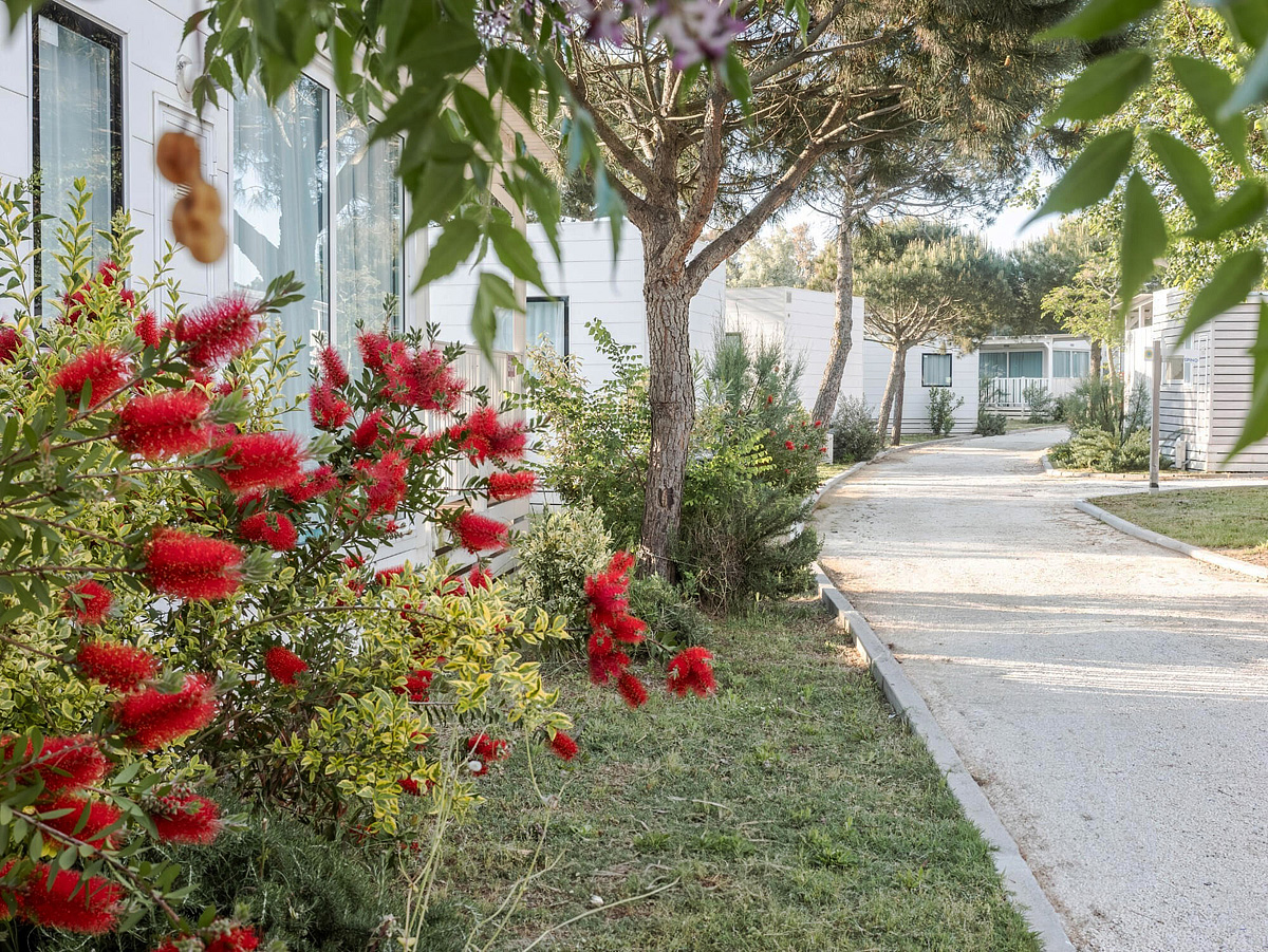 Sentido Punta Marina Premium Camp 10