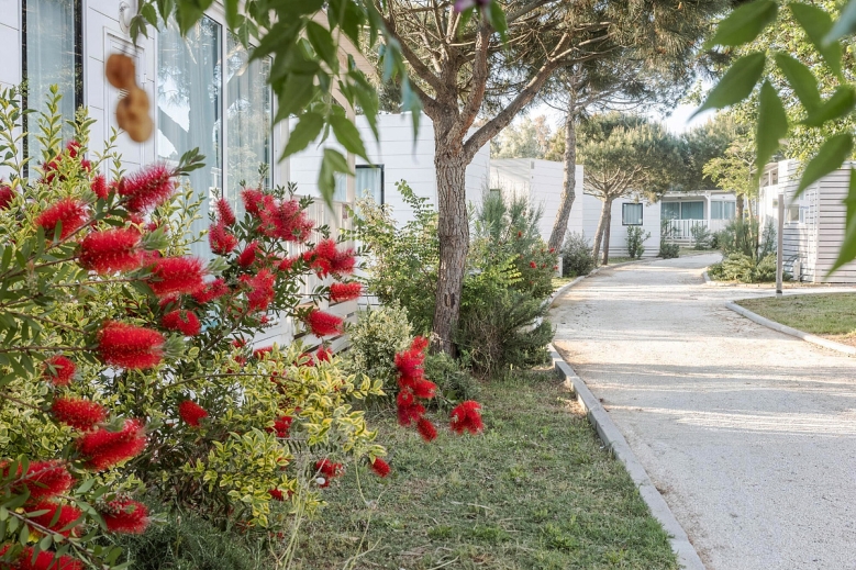 Hotel Sentido Punta Marina Premium Camp